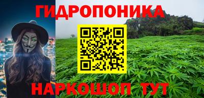 прущие грибы Нягань